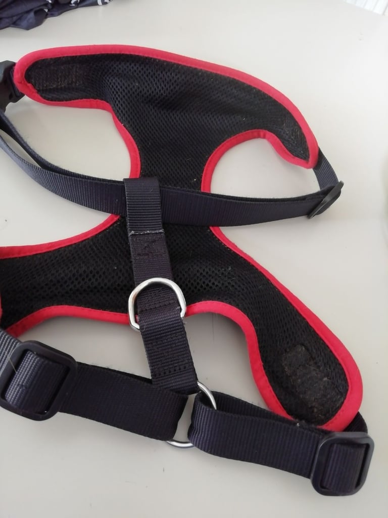 Dog harness and Collar 