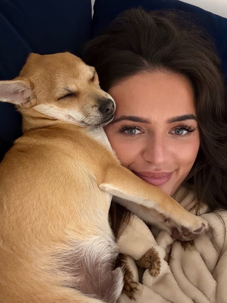 Two Chihuahua x Jack Russell Males for sale 6 months old.