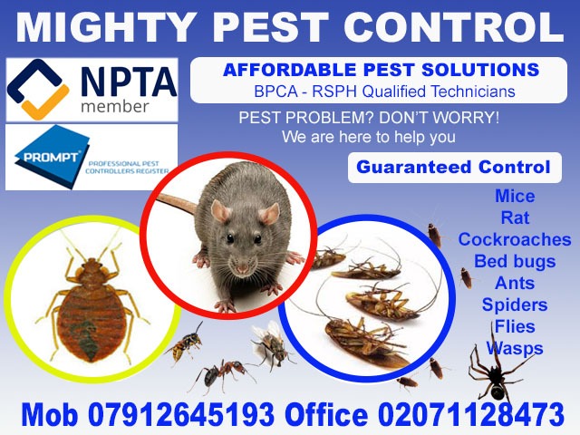 BPCA - RSPH Qualified 100% Guaranteed Pest Control Services Bed Bugs Flea Cockroaches Mice Wasps