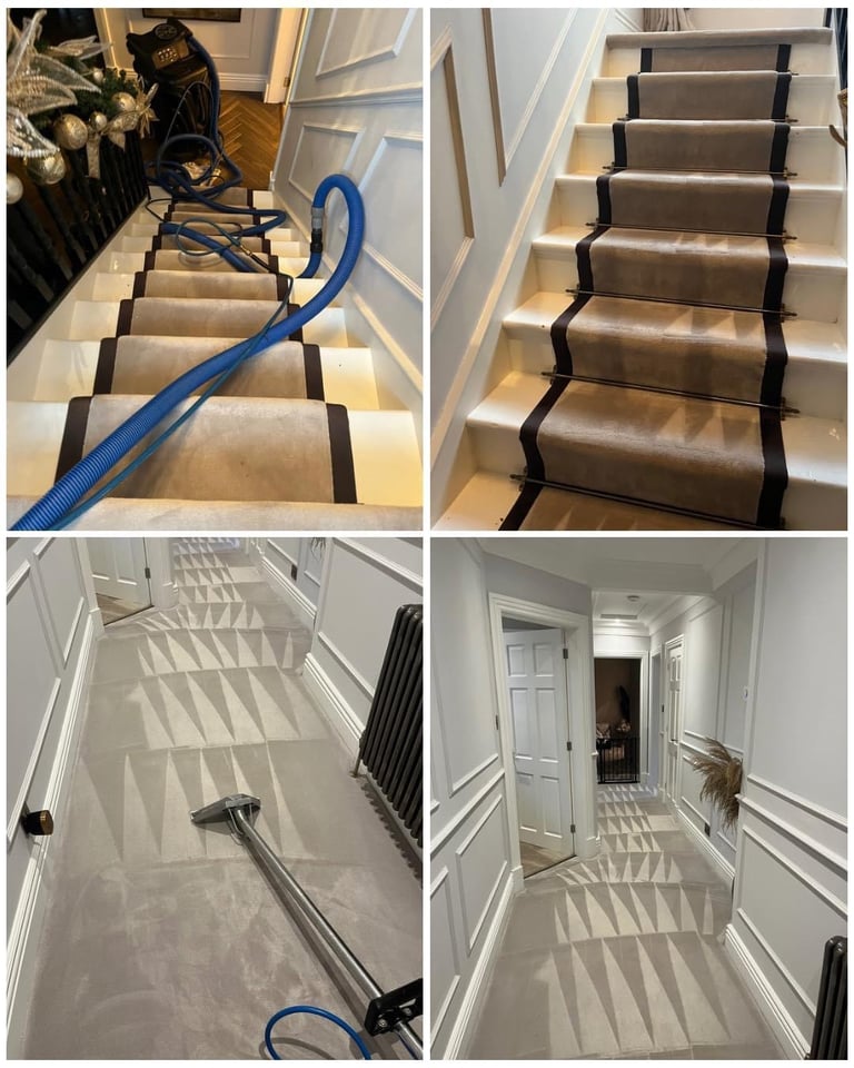 PROFESSIONAL STEAM CARPET CLEANING/ UPHOLSTERY CLEANING/ STAIN REMOVAL