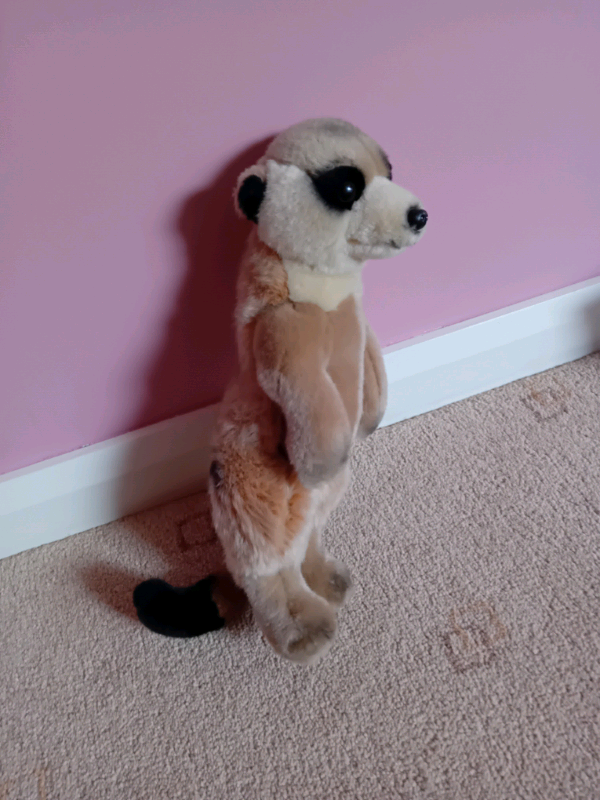 Meerkat toy for Sale Baby Kids Toys Gumtree