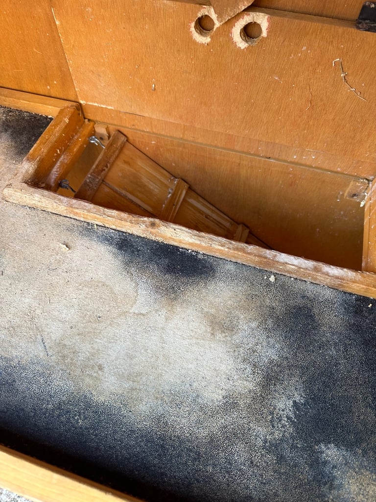 Twin level Guinea Pig hutch 