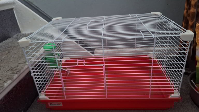 Small pet cage 