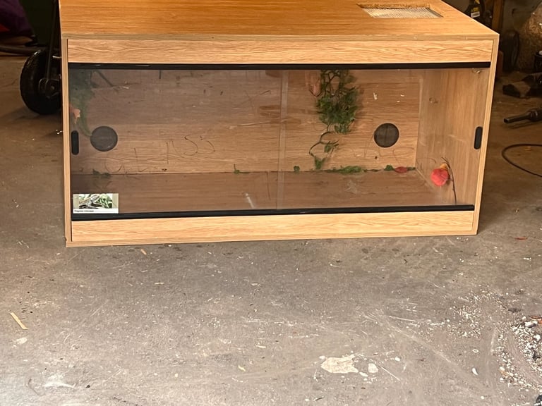 Reptile vivarium viv