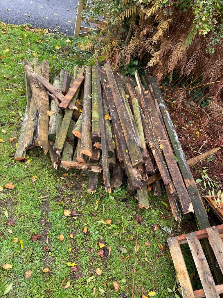 image for Free fire wood bonfire 