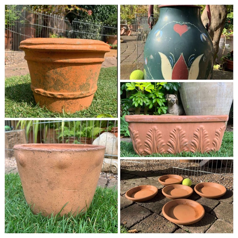 image for Plant pots £15 per picture 