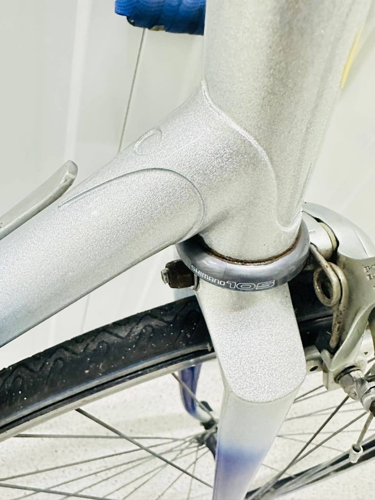 17  RORY O BRAIN Size/54 cm 12 Speed Index Gears Fully Serviced Warranty