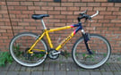 Giant Team World Cup vintage 90&#039;s Mountain Bike