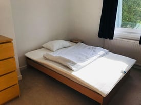 Room to let in spacious city centre flat