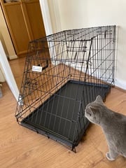 Brand new dog crate / cage 