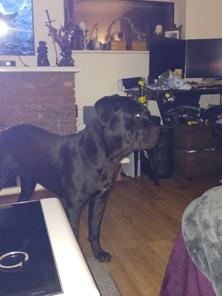 Maggie
