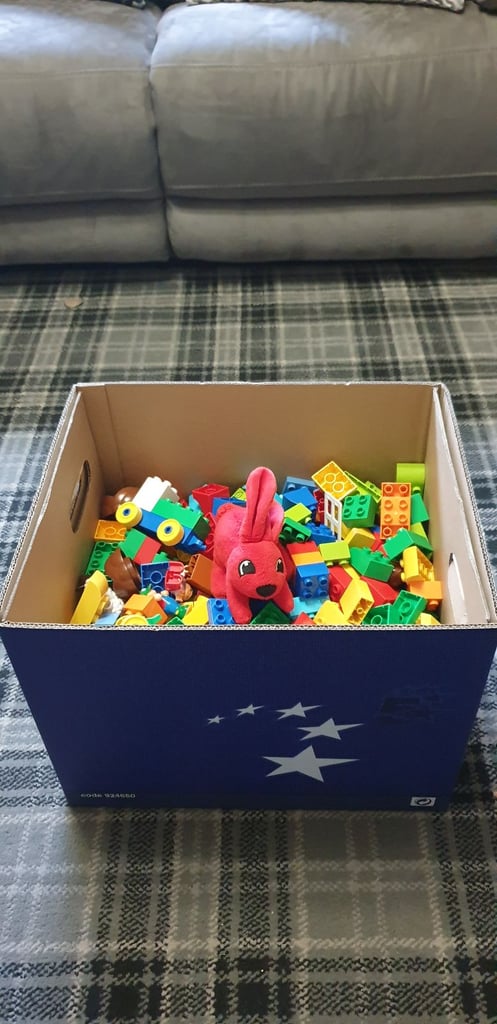 Big box off duplo and duplo bunny 