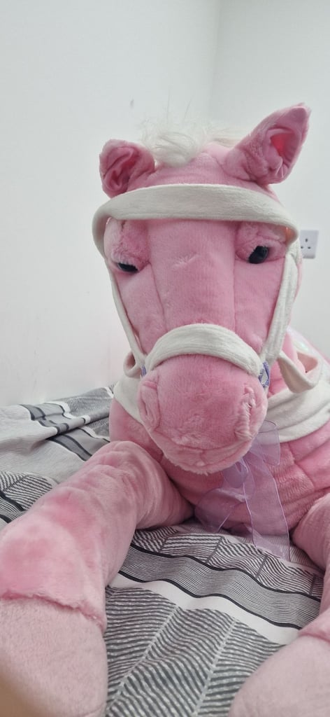 Stuffed Pink Pony Horsey from Animal Valley