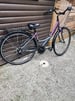 Ladies apollo ELYSE bike 700c wheel bicycle. City bike