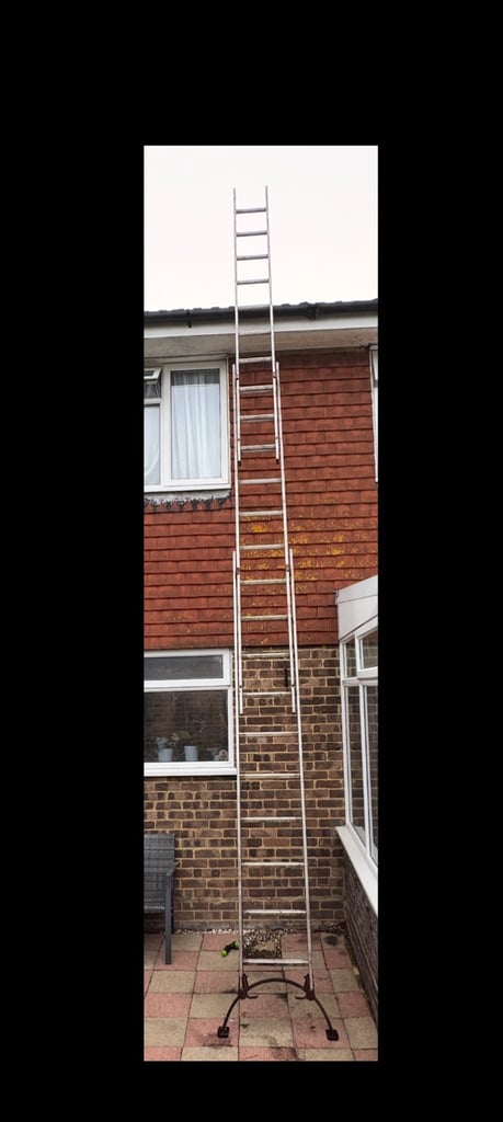 image for Triple extension Ladder 