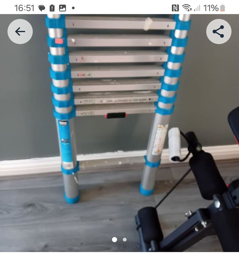 Mac Allister Telescopic Ladder 