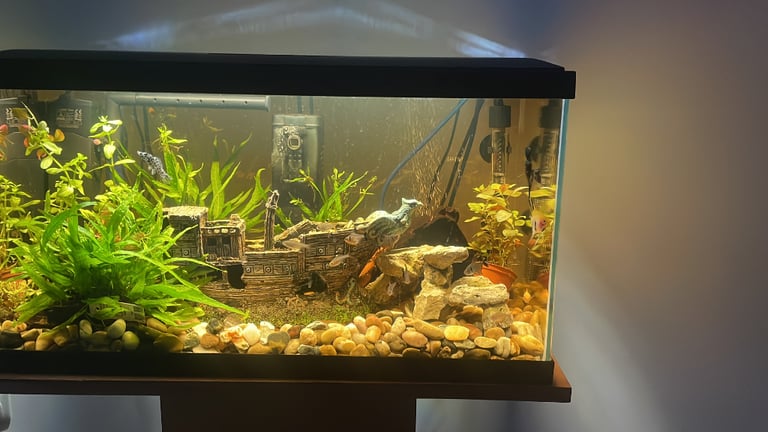 Aquarium Plastic Fish Tank 27 X17 x 15,5 cm