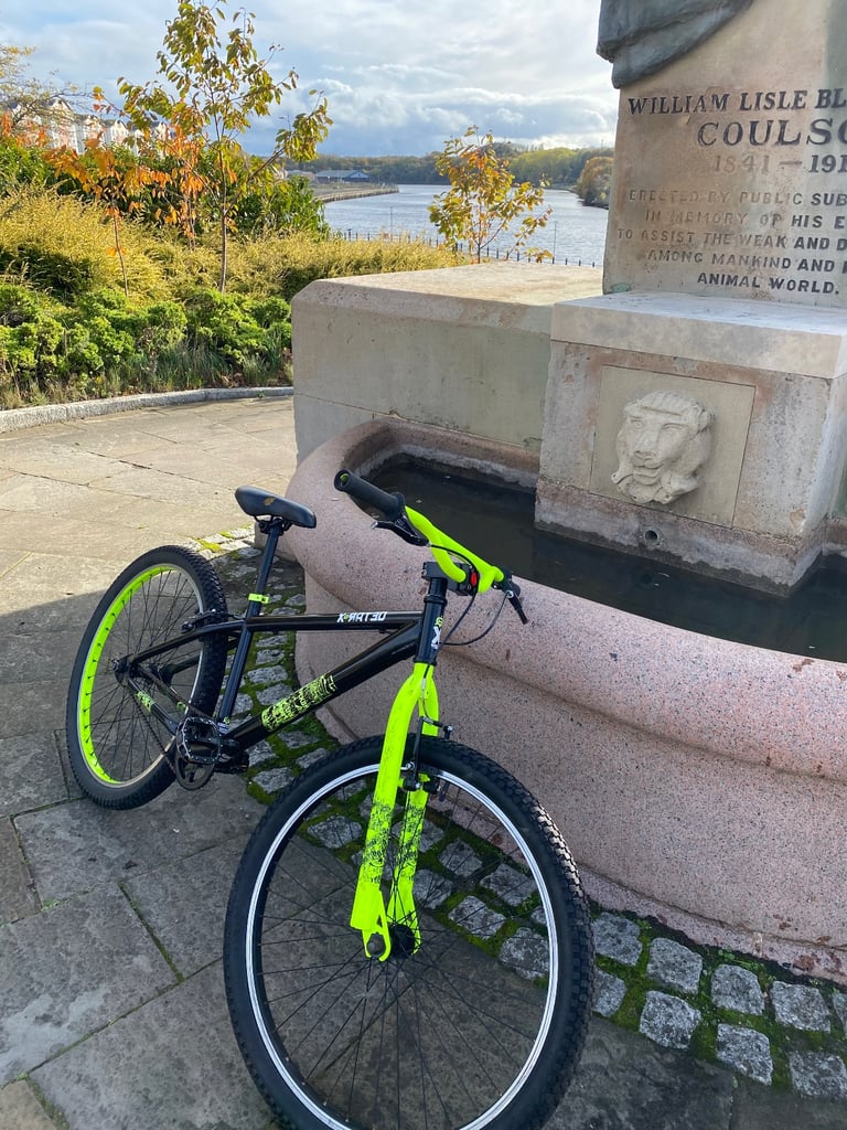 image for Mesh jump bike 15”