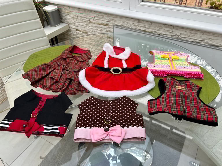 image for 5 winter harnesses outfits. Bargain. As new