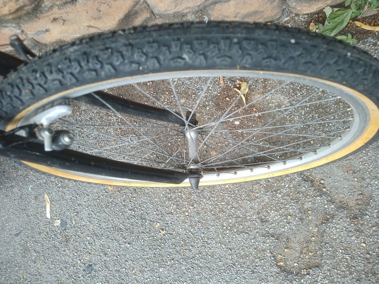 Kona Fire Mountain Race Light, Project 2 Vintage Retro Mountain Bike