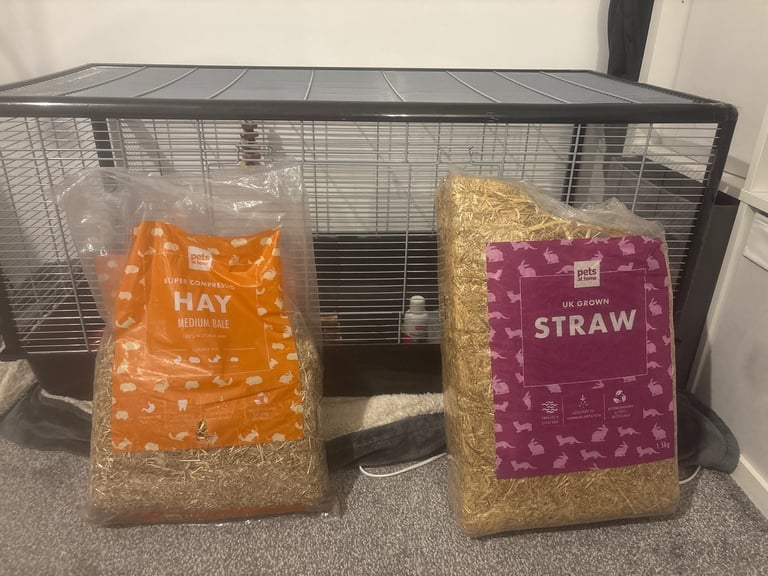 Rabbit enclosure and assessories. 