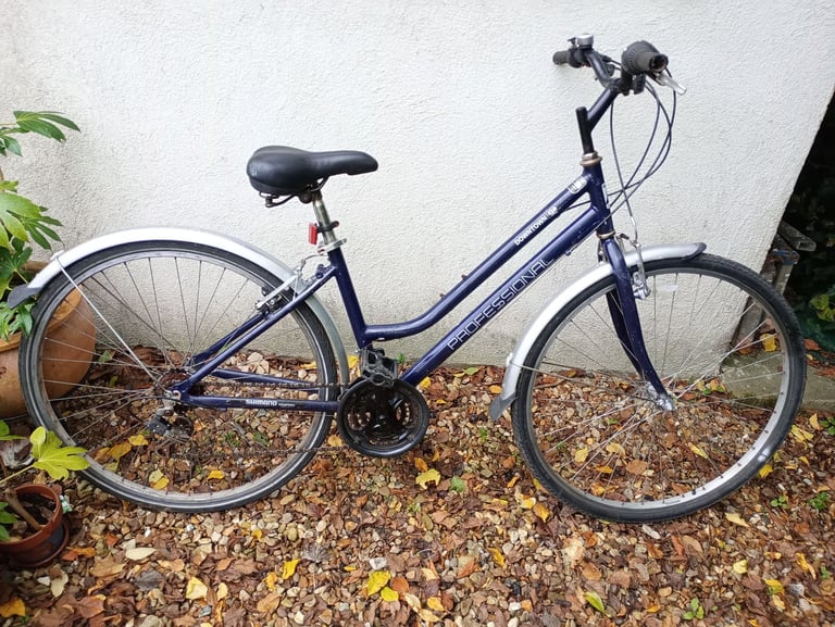 Ladies Professional Downtown bike, 18 speed, 18 inch frame, serviced, good condition