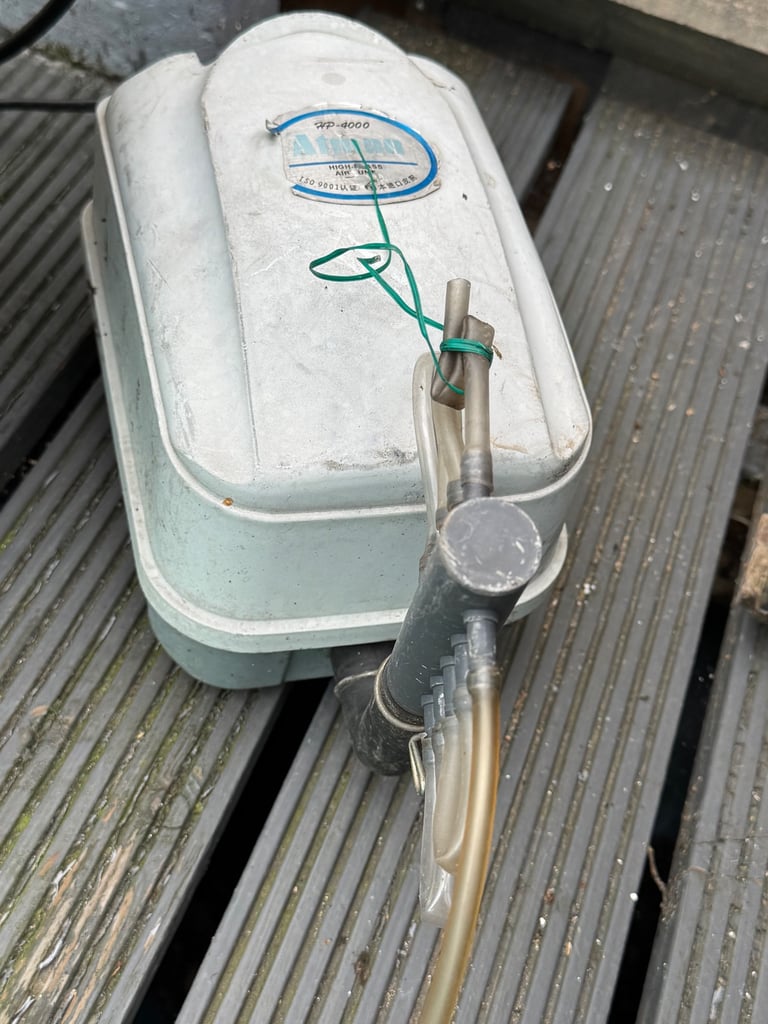 fish tank with pump filter and food 
