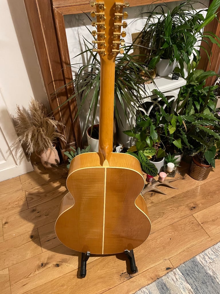 Vintage 12 string V1700-N12