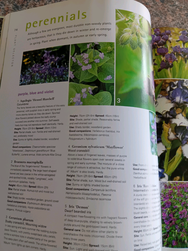 Reader's Digest All season guide to gardening Late spring good condition