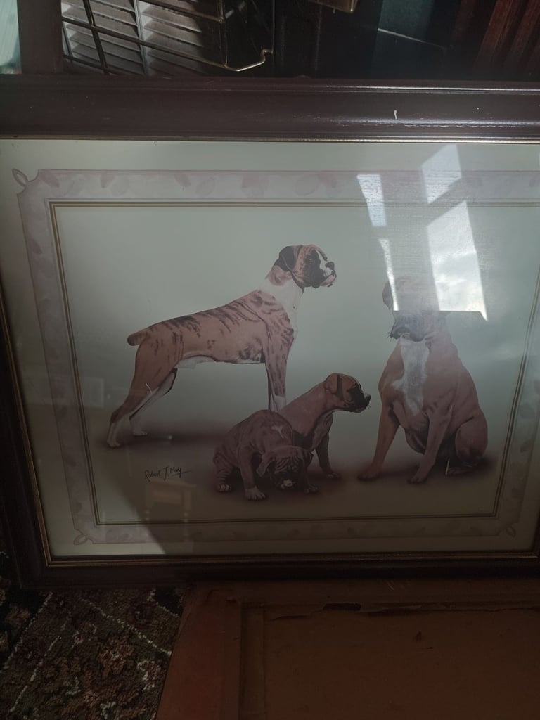 image for Boxer dog pictures ornaments figures