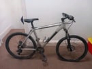 Adult Mongoose mountain bike 