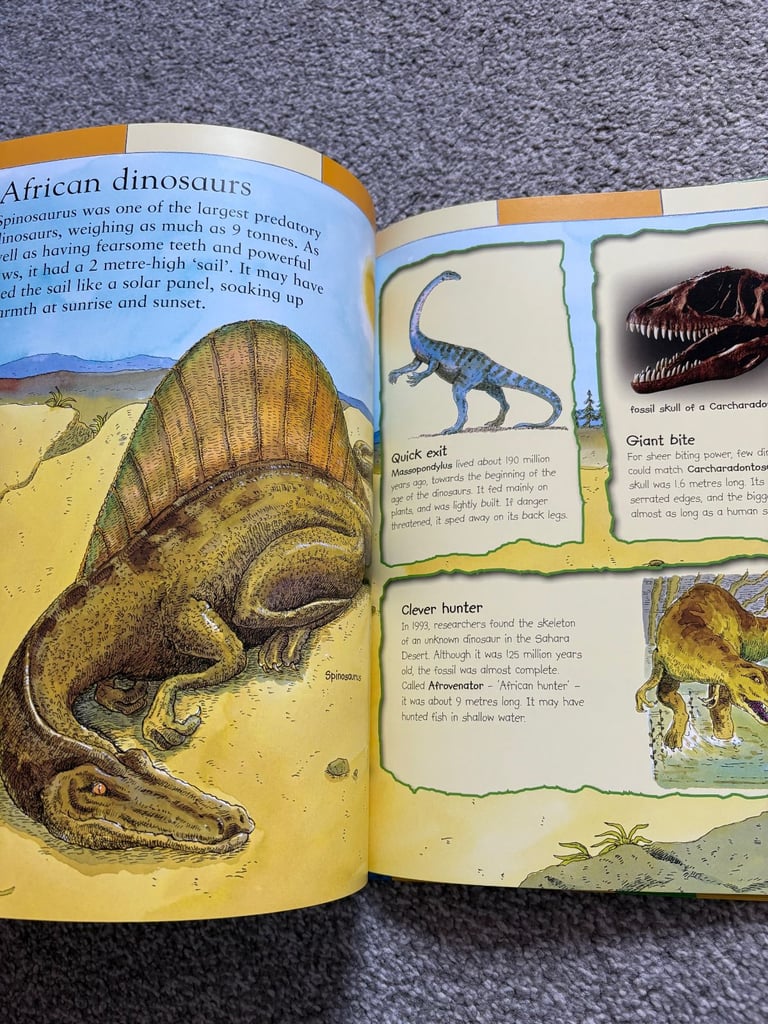 The Kingfisher First Dinosaur 🦖 Picture Atlas