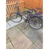 Bicycles 4 sale x3 all working good condition 