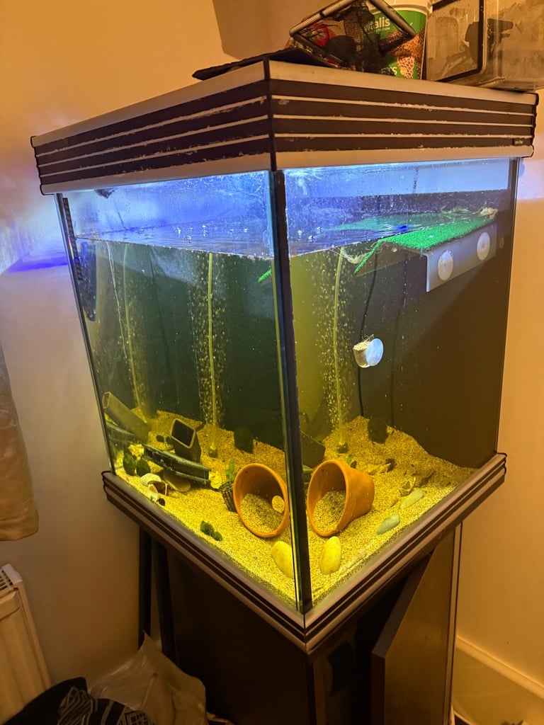 Nice Cube Fish Tank 