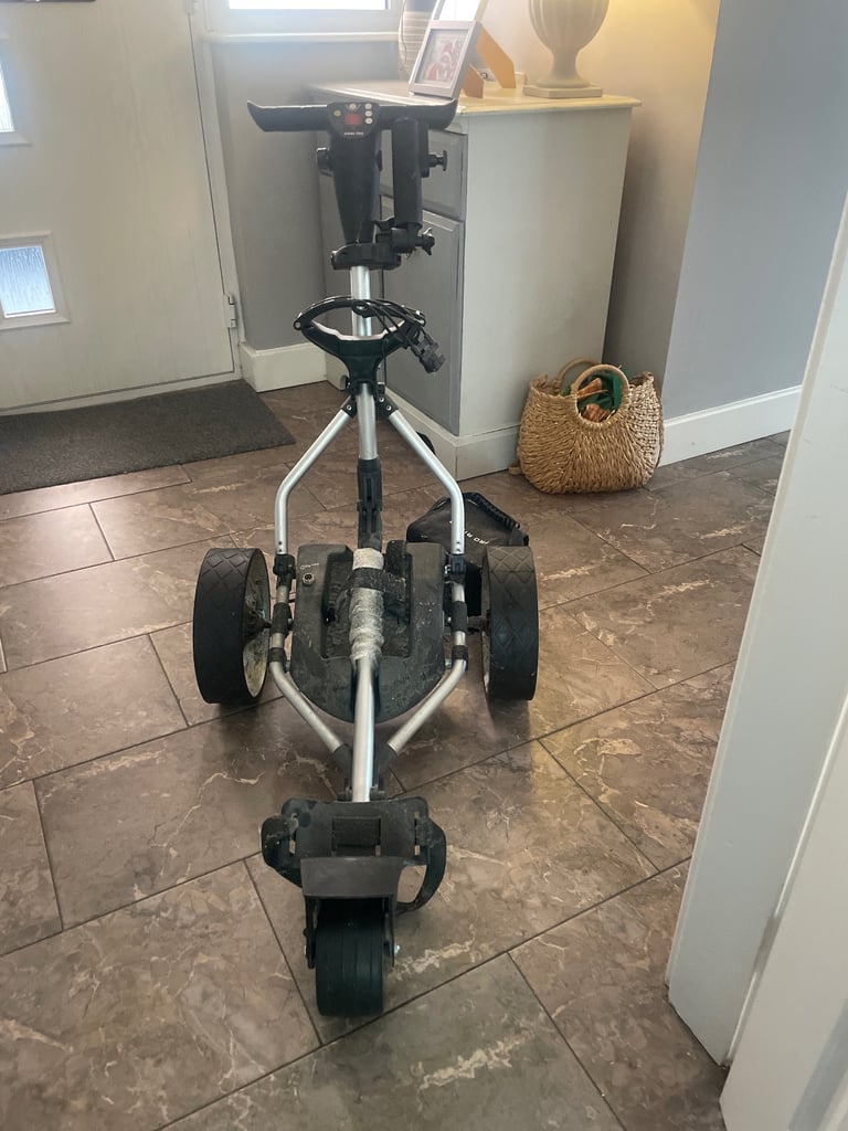 Pro rider electric golf caddy