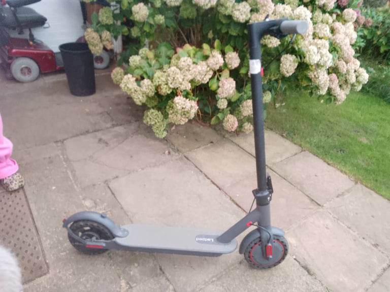 Electric scooter 