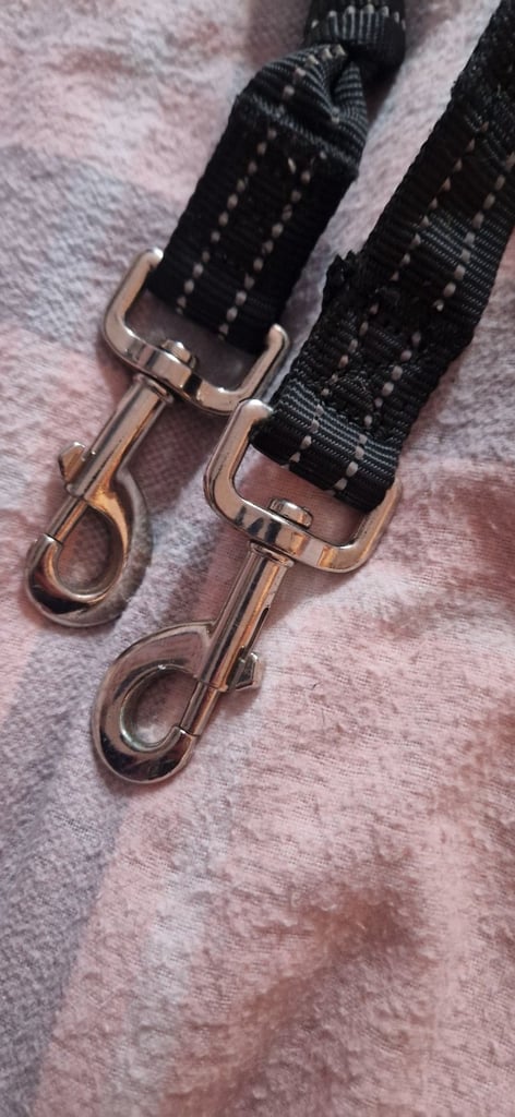 Double dog walking lead 