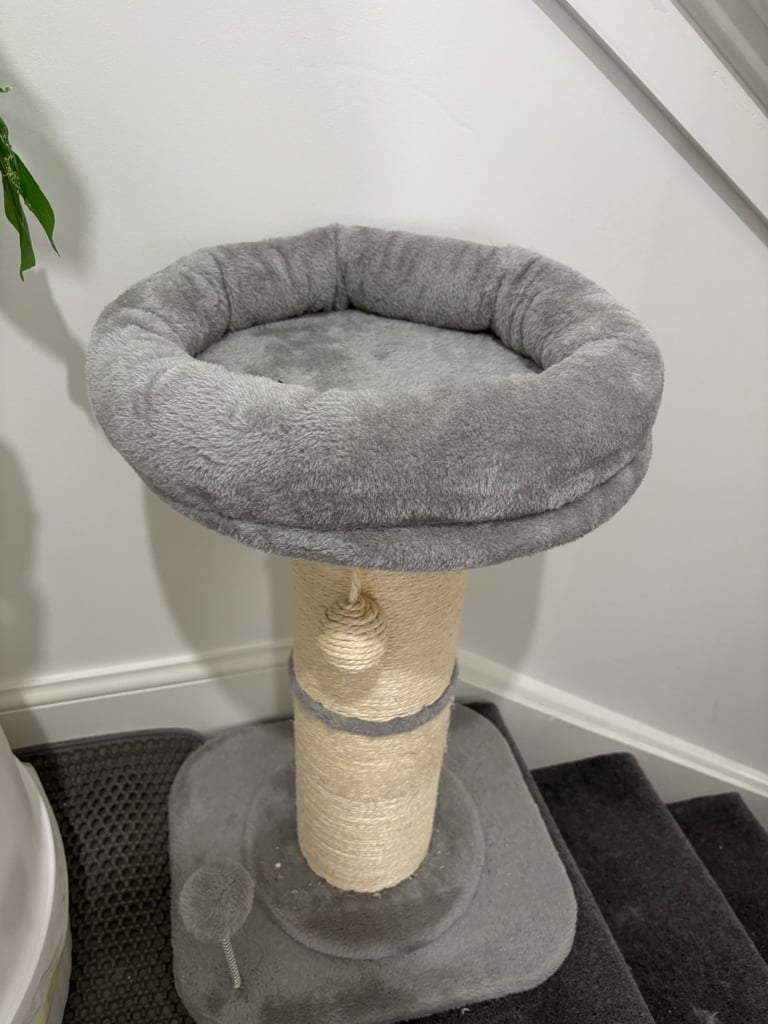 image for Cat Scratching Post 
