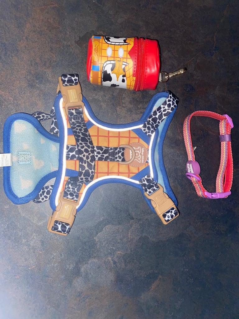 Toy Story Dog Harness Bundle