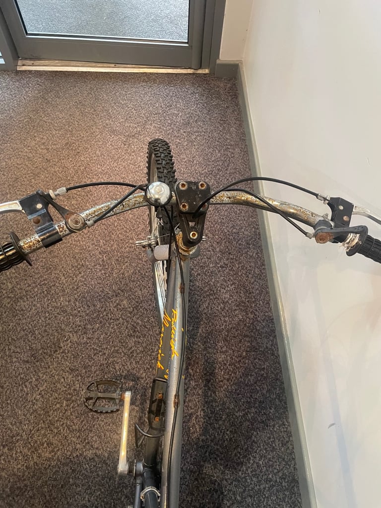 vintage 1980’s  Raleigh Maverick bike