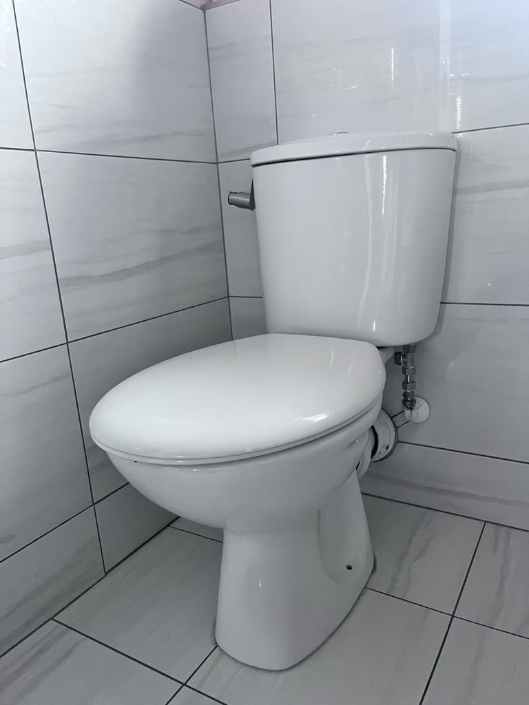 Toilet and sink (with pedestal)
