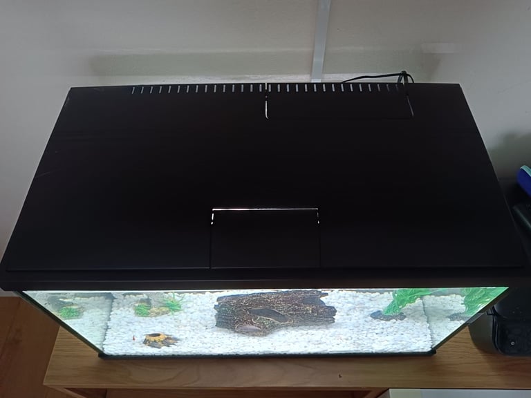Fish tank with accessories 