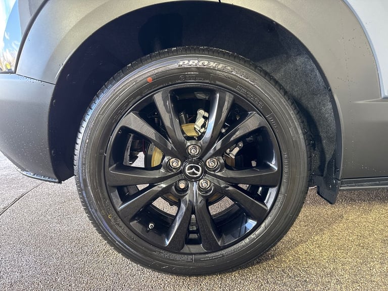 2025 Mazda CX-30 2.5 e-Skyactiv G MHEV [140] Homura 5dr Hatchback Petrol Manual