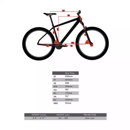 36V E-Bike