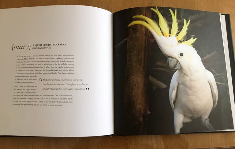 Tasmania Bonorong SancturyBook.Stunning Photos of indigenous Critters 