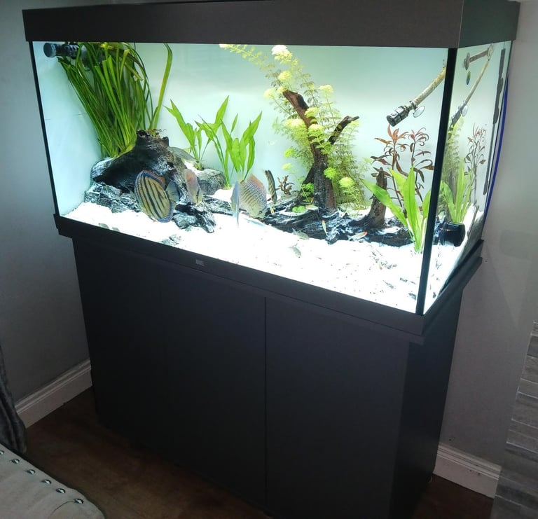 image for Complete Fish Tank Set-Up For Sale