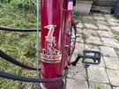 Raleigh max for sale 