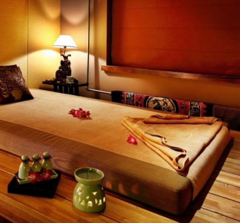 Professional Massage Therapy 