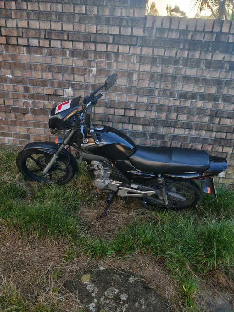 Yamaha, YBR, 2008, 124 (cc)