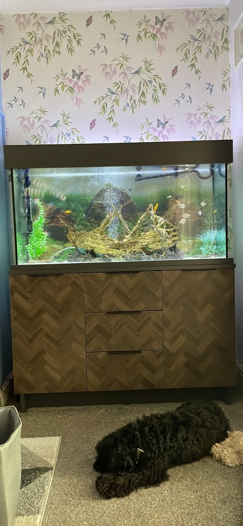 Full tropical fish tank set up and unit